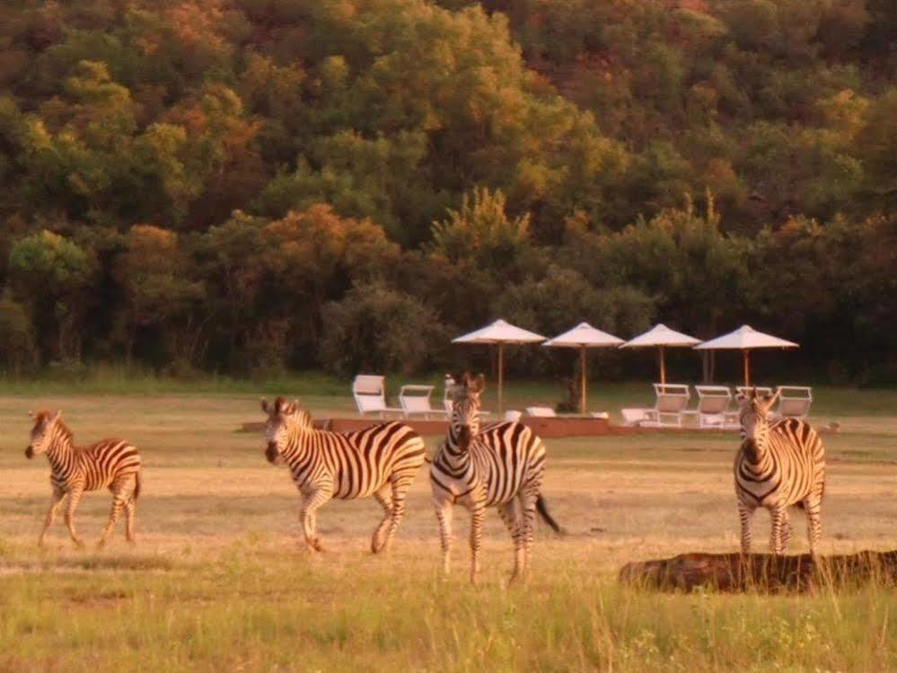 Zebras Crossing Private Game Lodge Modimolle Kültér fotó