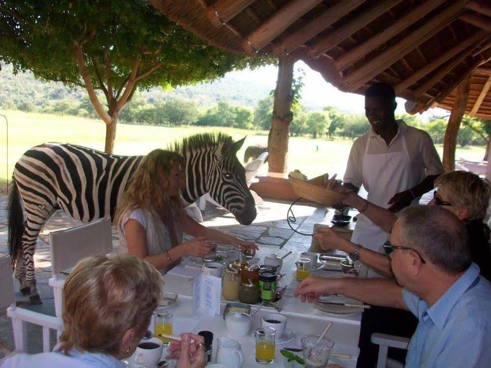 Zebras Crossing Private Game Lodge Modimolle Kültér fotó