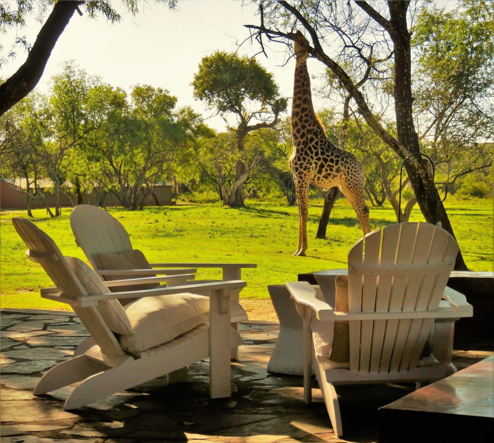 Zebras Crossing Private Game Lodge Modimolle Kültér fotó